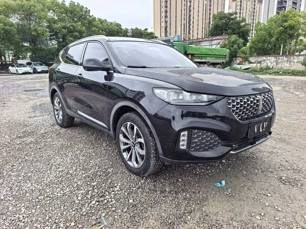 Wey VV6 2020 2.0T +