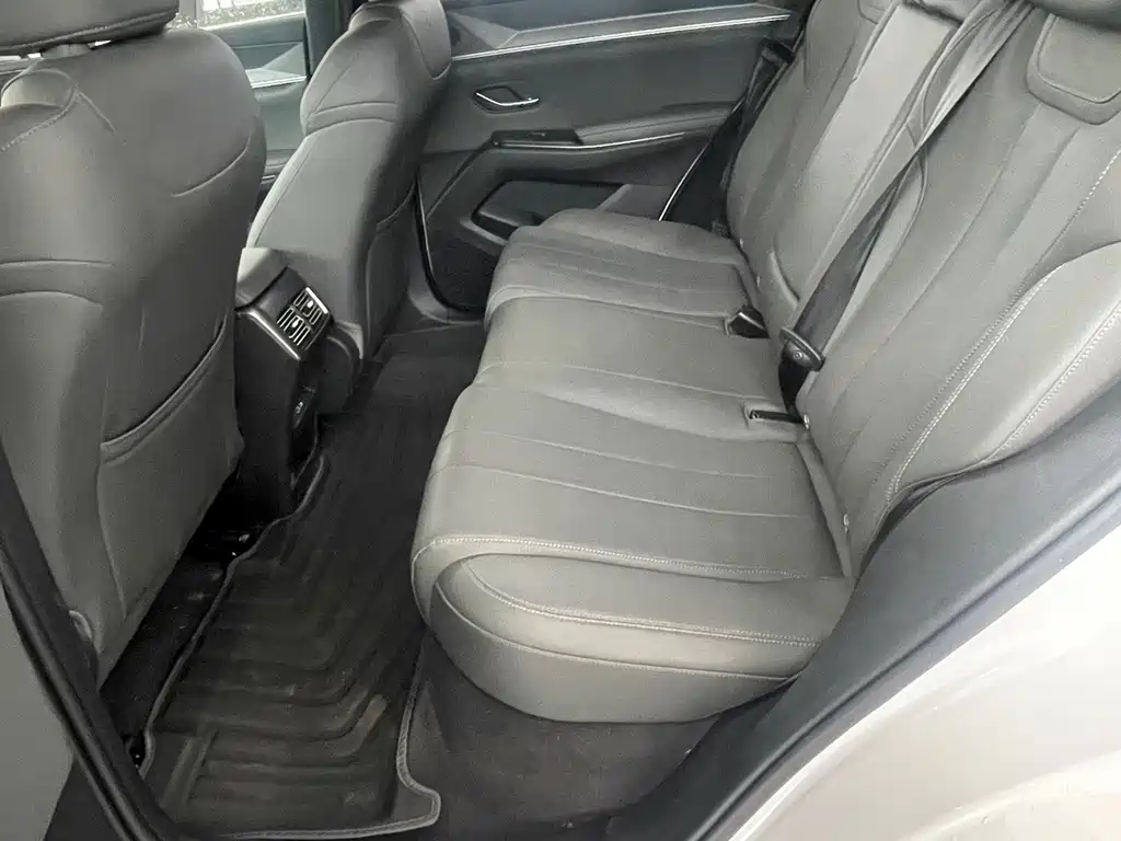BYD Pro New Energy — миниатюра 10