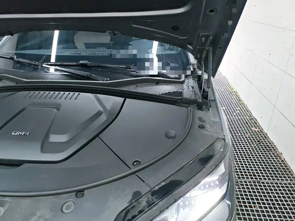 BYD PLUS New Energy — миниатюра 22