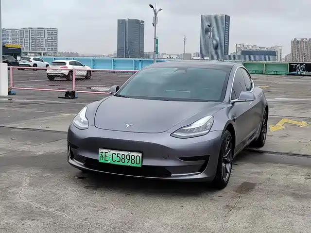TESLA MODEL 3 2020