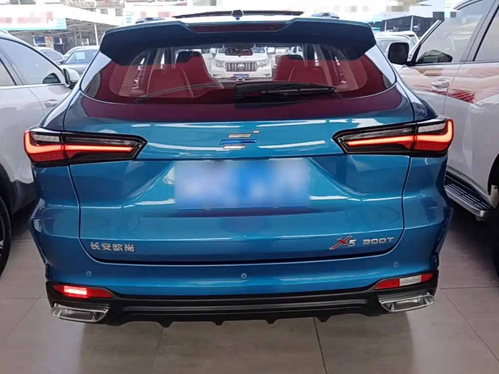 Oshan Oushang X5 — миниатюра 6