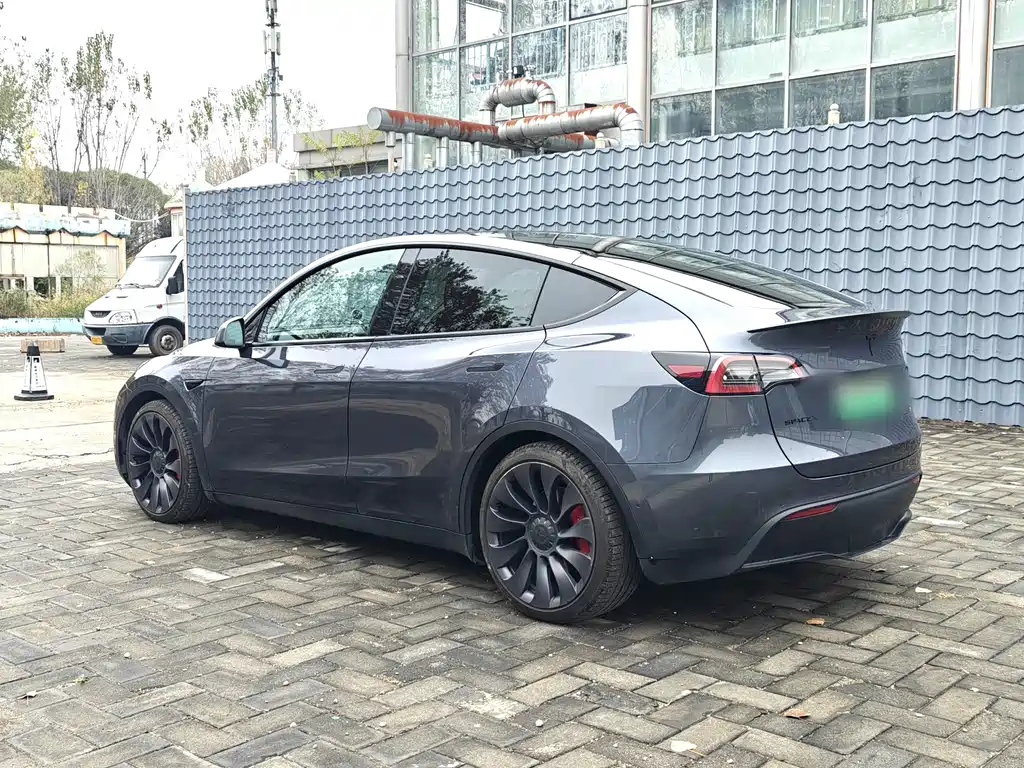 Tesla Model Y — миниатюра 2