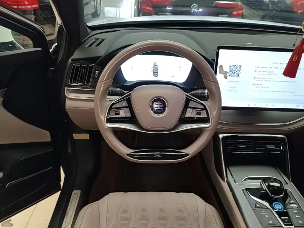 BYD Tang New Energy — миниатюра 11