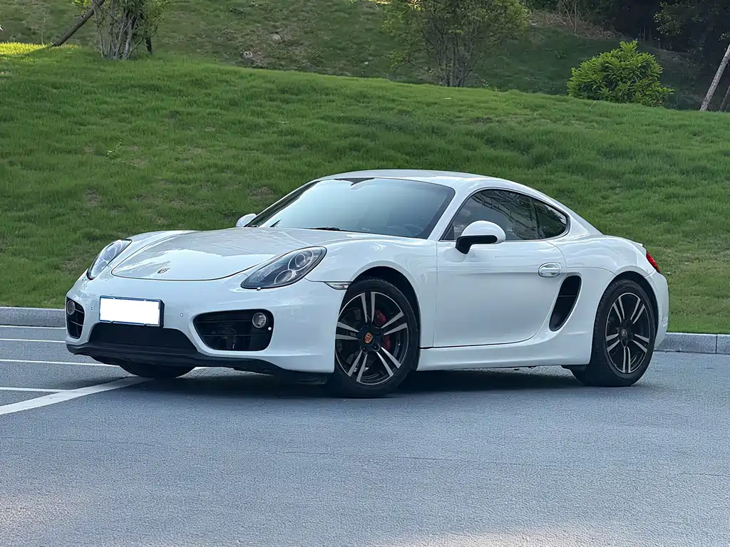 Porsche Cayman — миниатюра 4