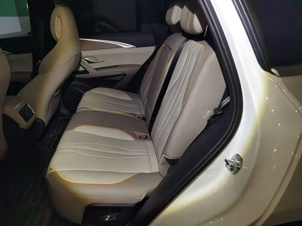 BYD Pro New Energy — миниатюра 13