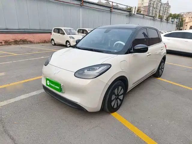 Wuling Bingo