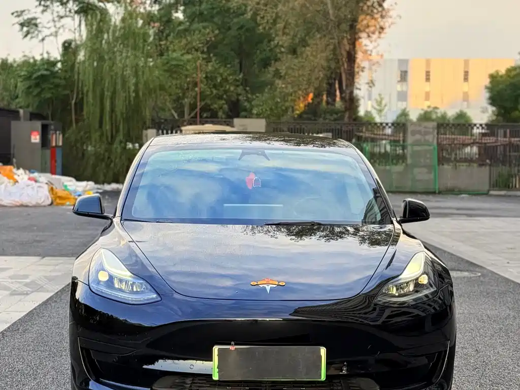Tesla Model 3 — миниатюра 2
