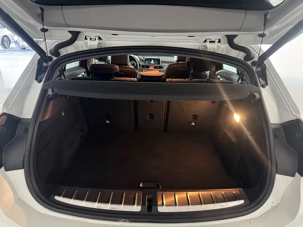 BMW X2 (Import) — миниатюра 17
