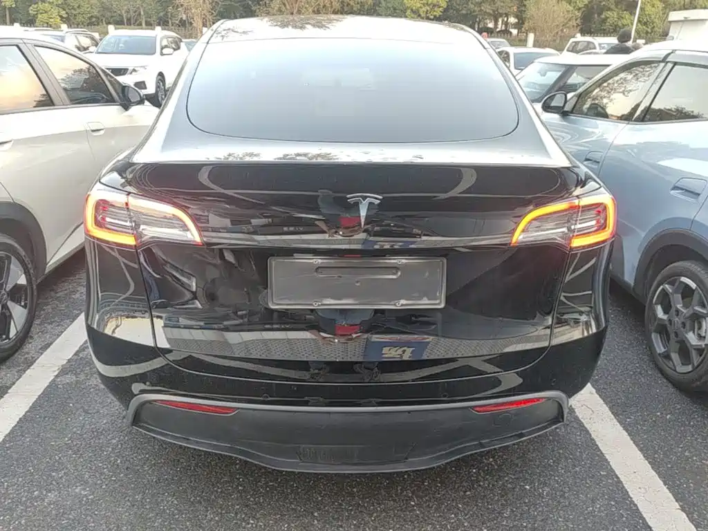 Tesla Model Y — миниатюра 6