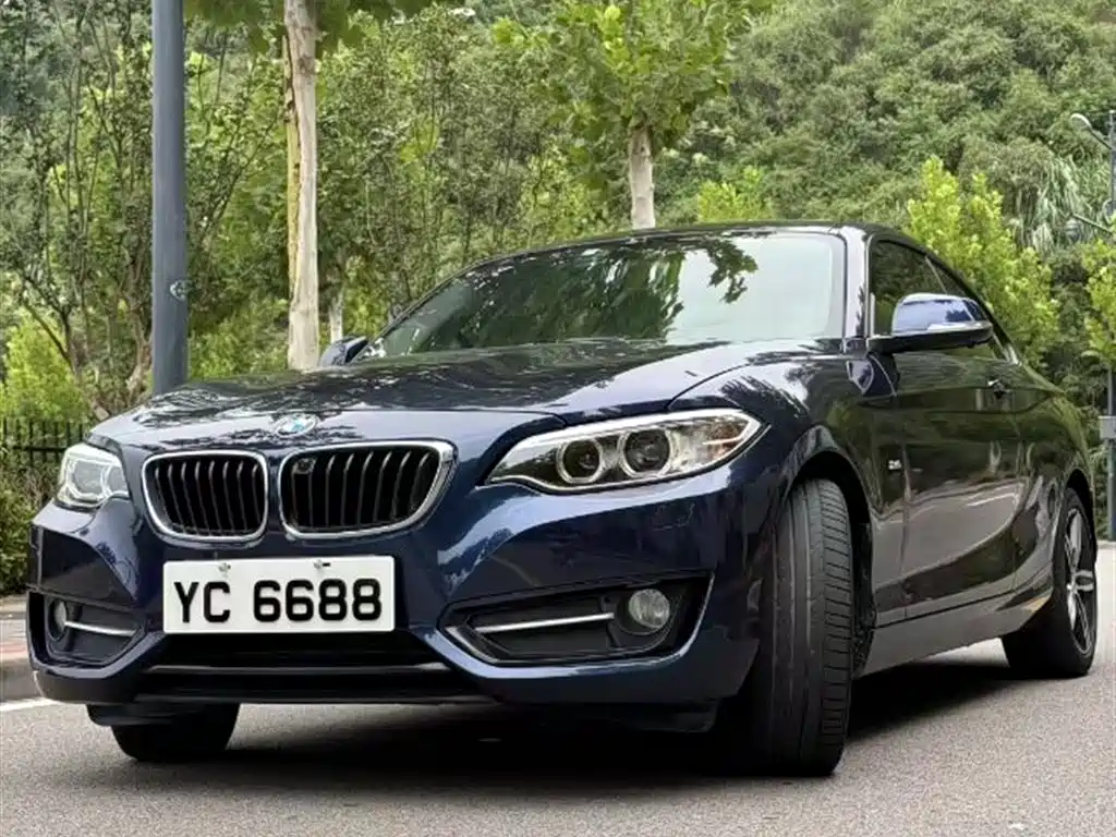 BMW 2 Series (Import) 2016