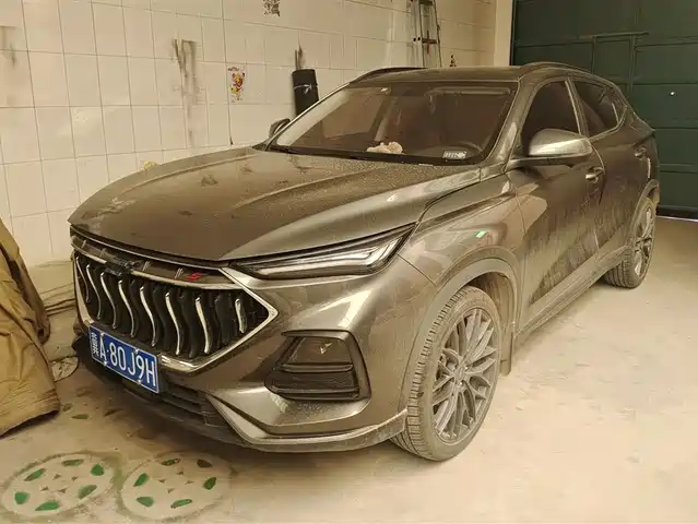 CHANGAN CHANGAN AUCHAN X5