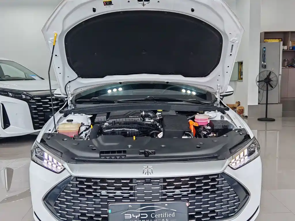 BYD Qin PLUS — миниатюра 13