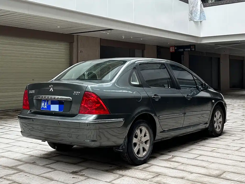 Peugeot 307 — миниатюра 3
