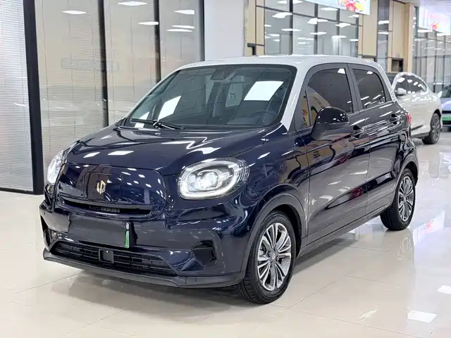 2021 Leapmotor T03