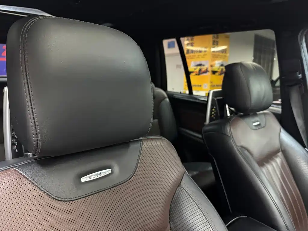 Mercedes-Benz GL-Class GL 450 Premium Type Grand Edition, фото 29