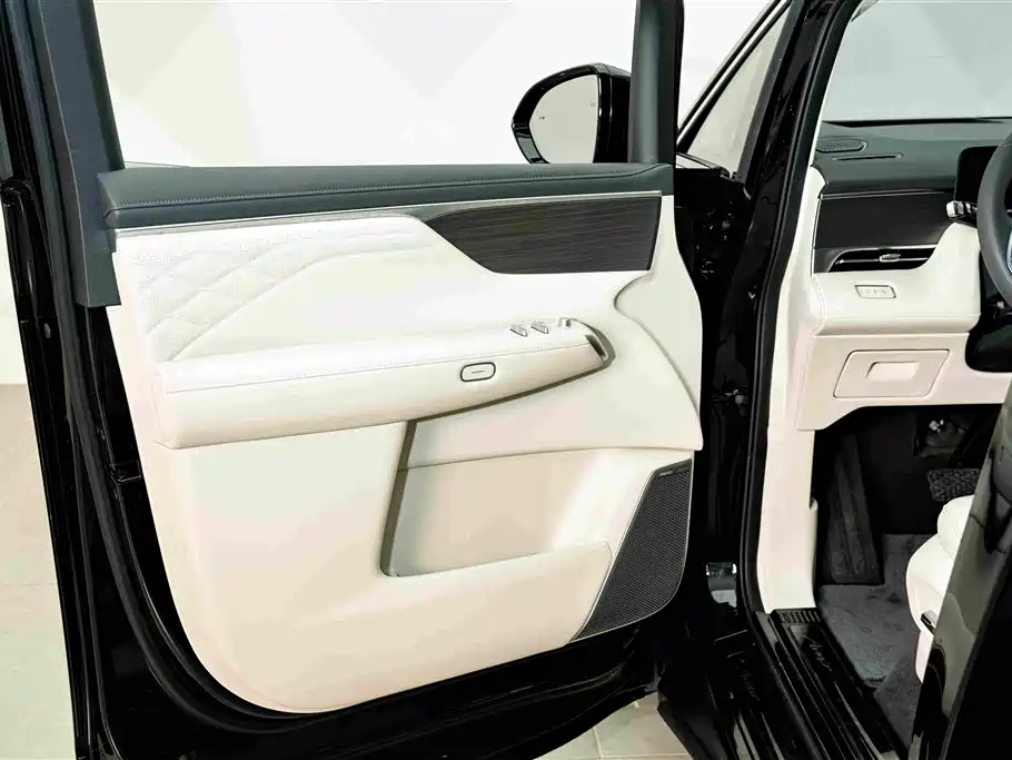 Buick Electra Encasa — миниатюра 18
