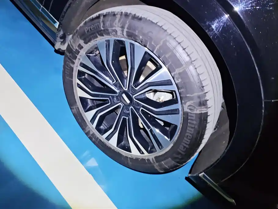 WEI PAI WEI BRAND BLUE MOUNTAIN