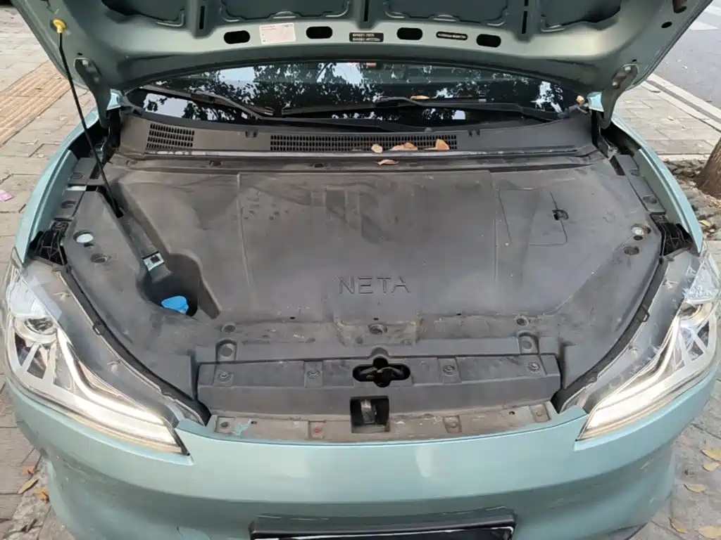 Neta Neta V — миниатюра 20