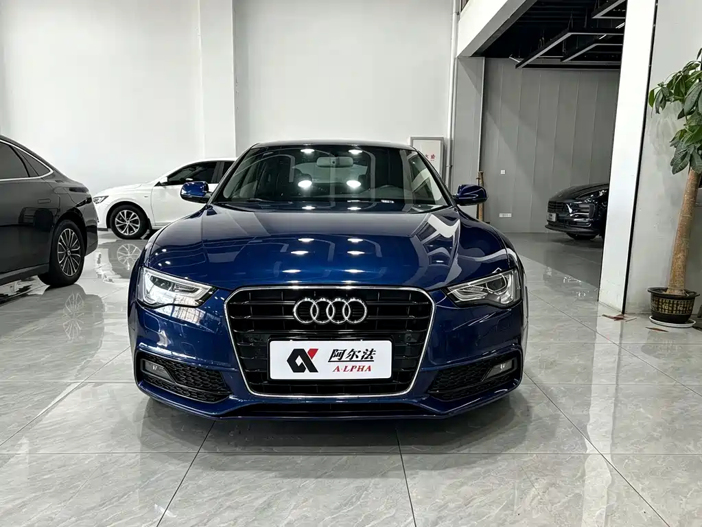 Audi A5 (Import) — миниатюра 2