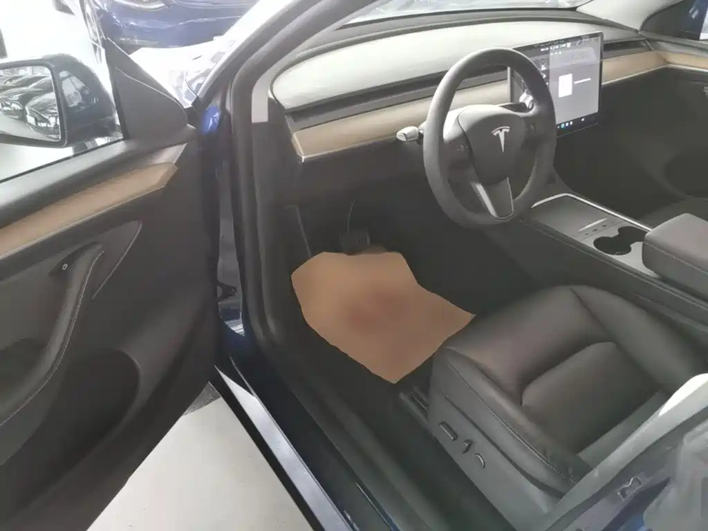 Tesla Model Y — миниатюра 16