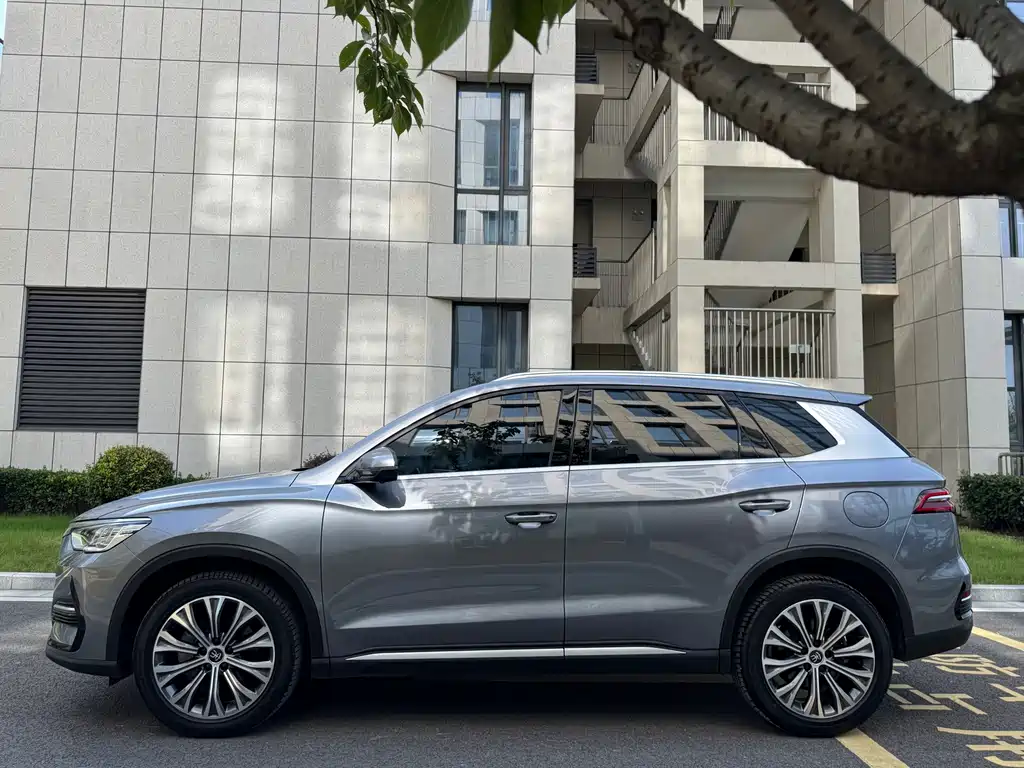 BYD Pro New Energy — миниатюра 31