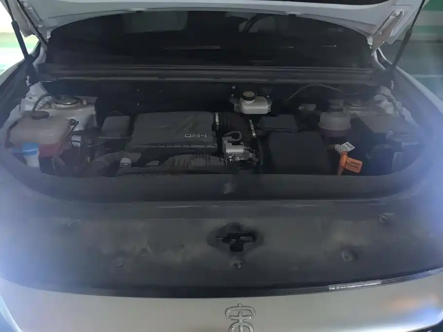 BYD Pro New Energy — миниатюра 10