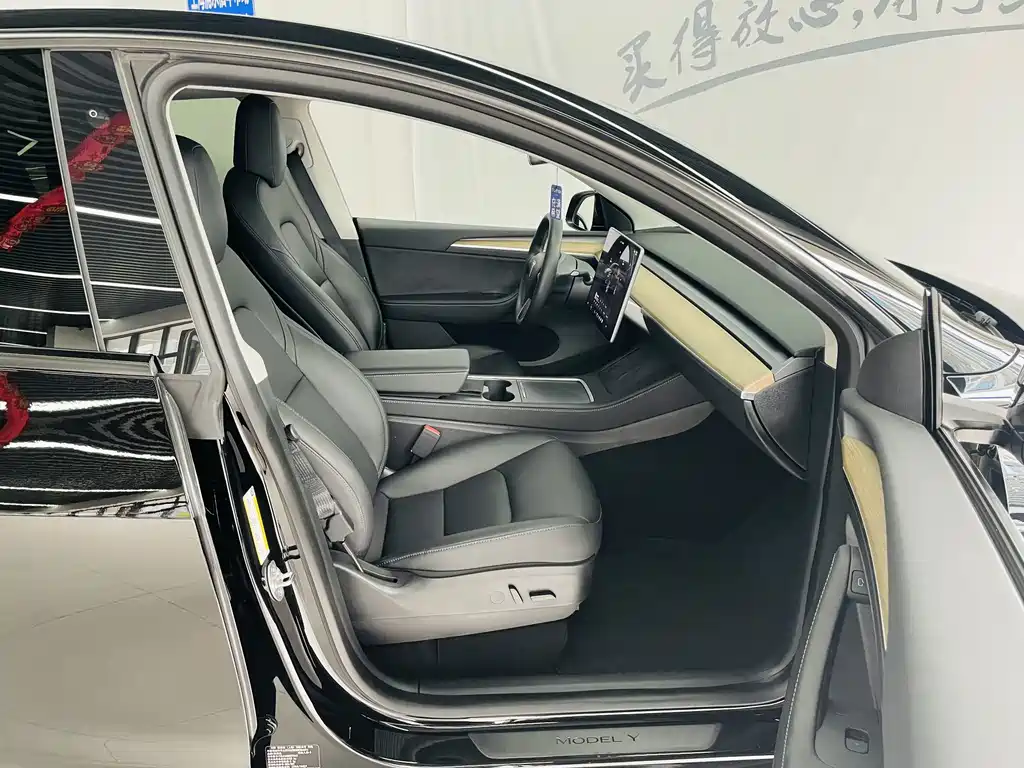 Tesla Model Y — миниатюра 12