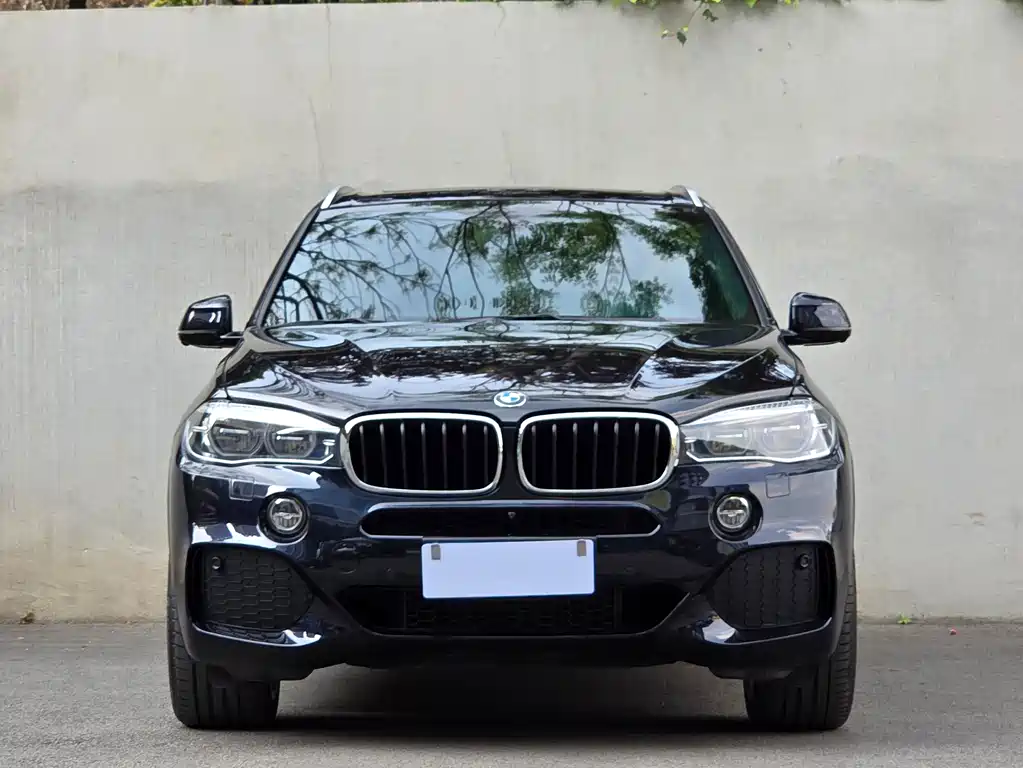 BMW X5 (Import) — миниатюра 2