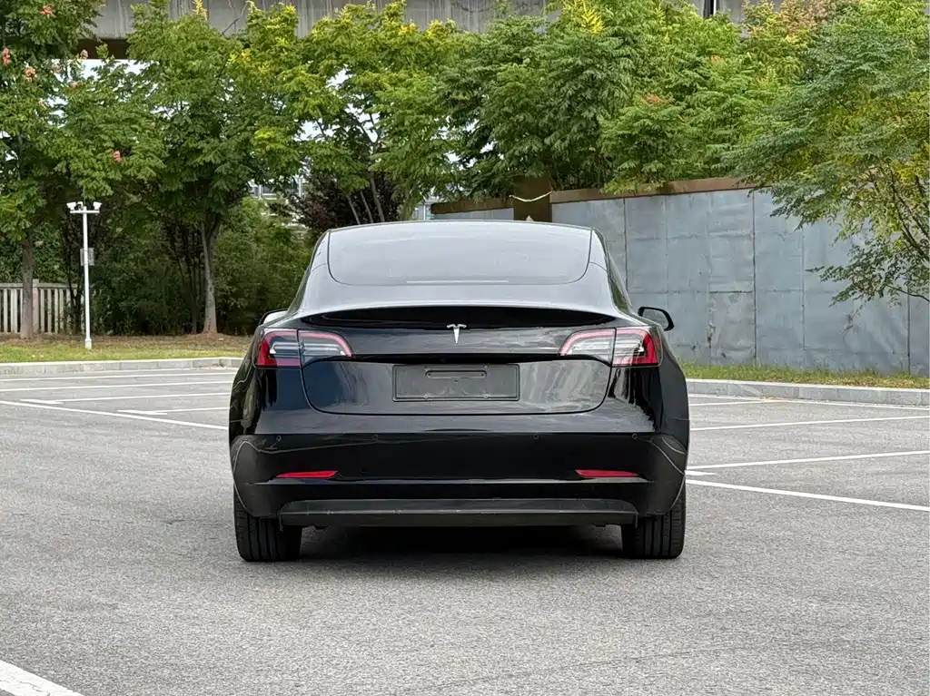 Tesla Model 3 — миниатюра 5