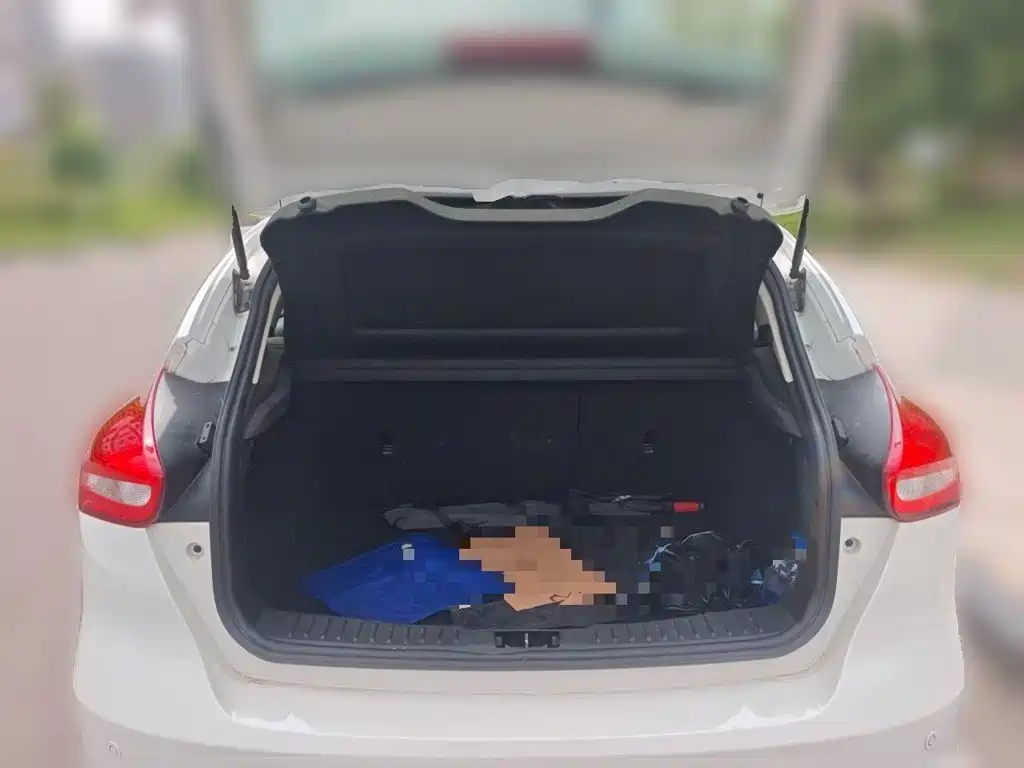 Ford Focus — миниатюра 10