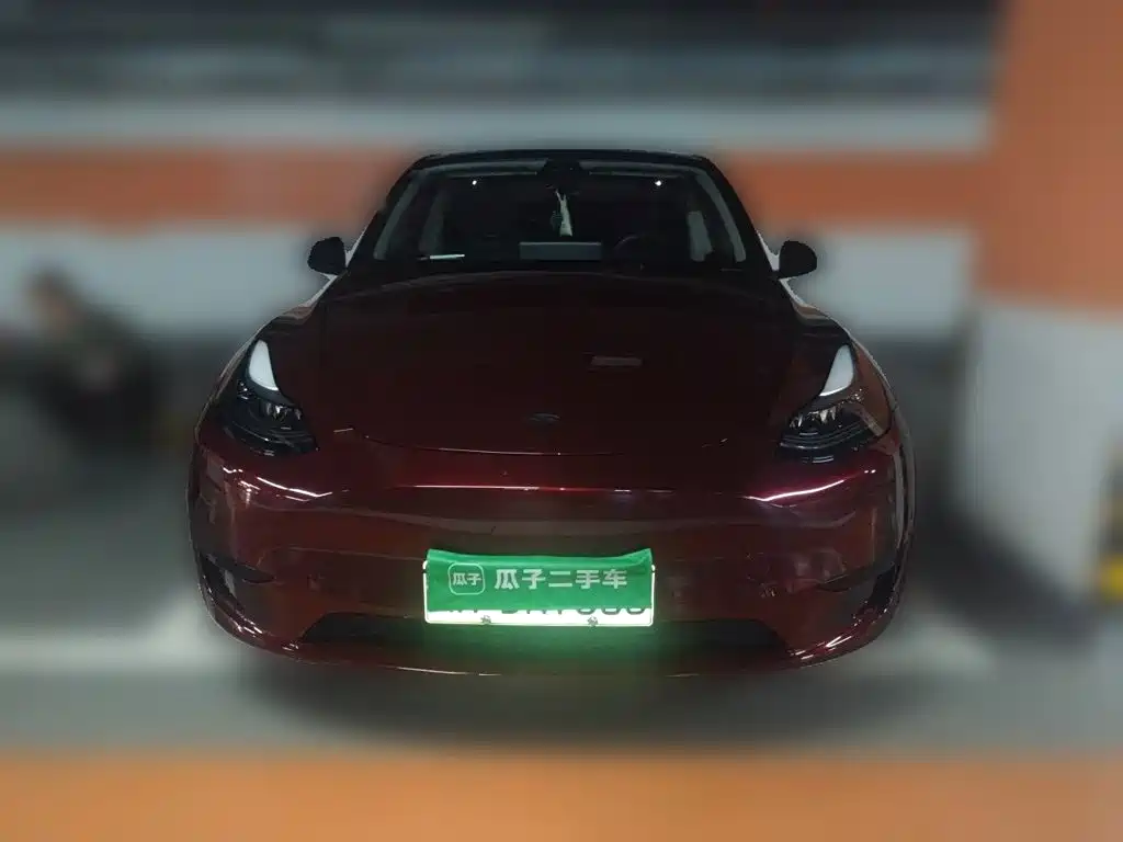 Tesla Model Y — миниатюра 2