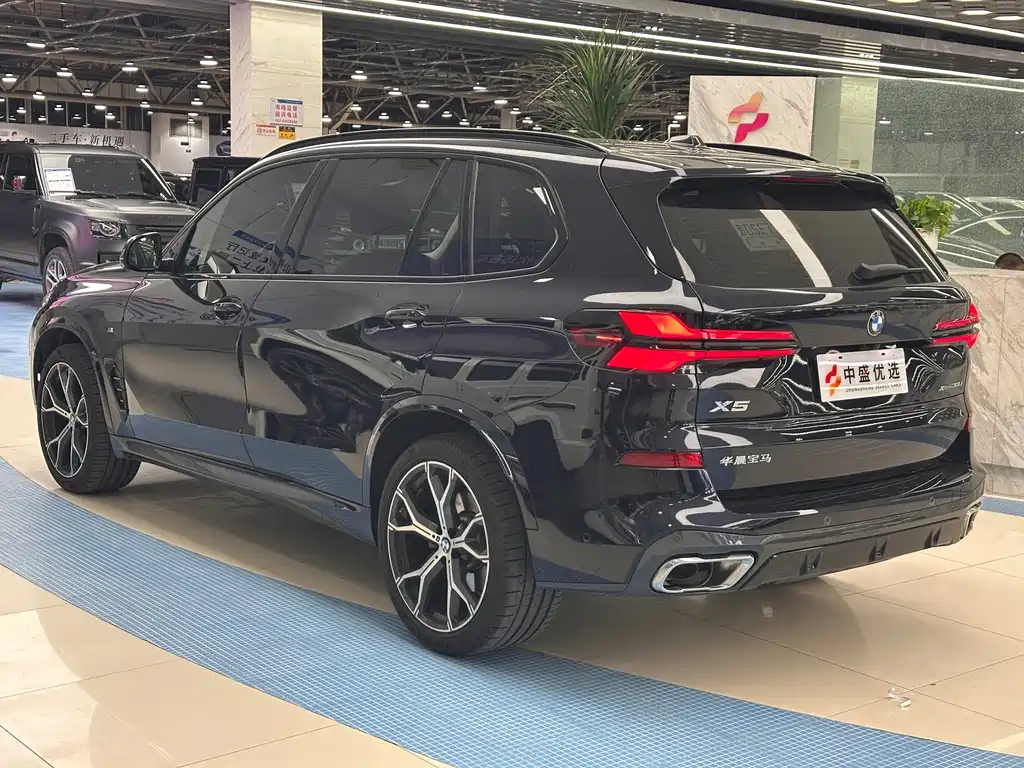 BMW X5 — миниатюра 11
