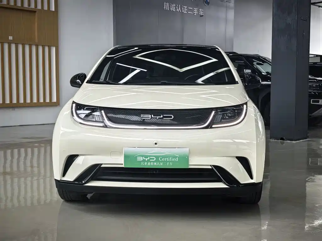BYD Dolphin — миниатюра 2
