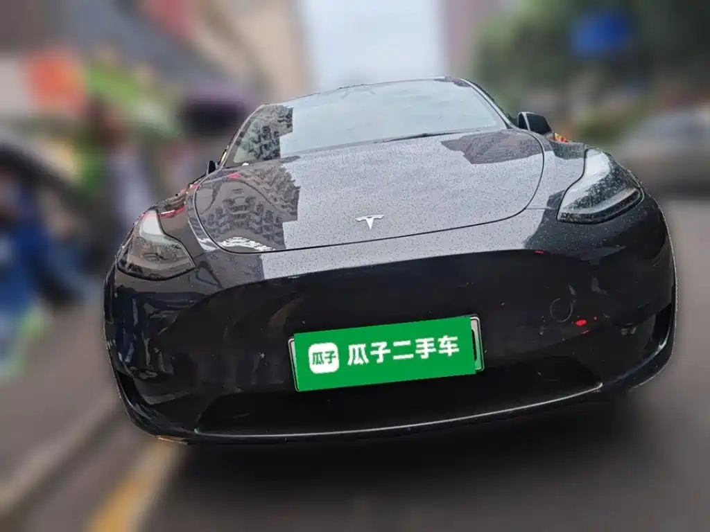 Tesla Model Y — миниатюра 23