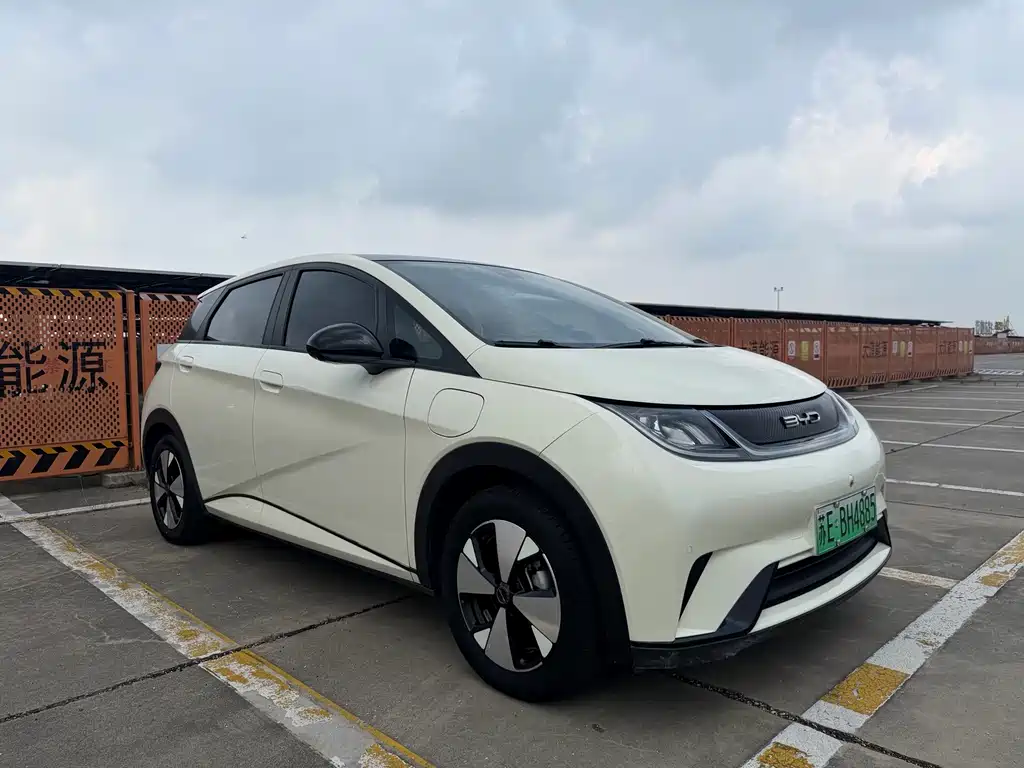 BYD Dolphin — миниатюра 3
