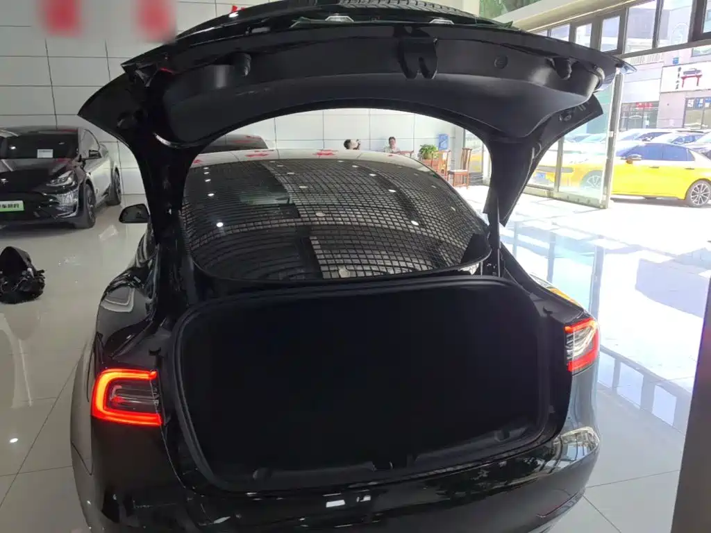 Tesla Model 3 — миниатюра 19