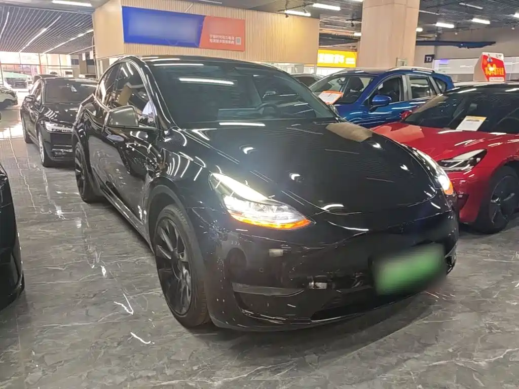 Tesla Model Y — миниатюра 4