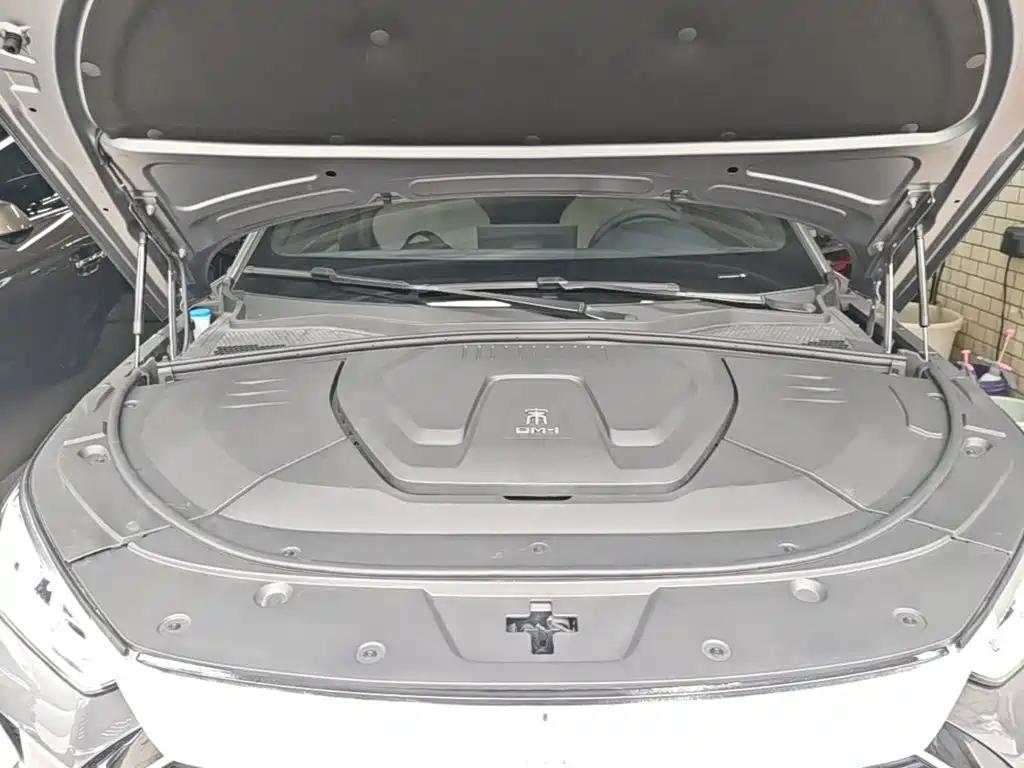 BYD PLUS New Energy — миниатюра 20