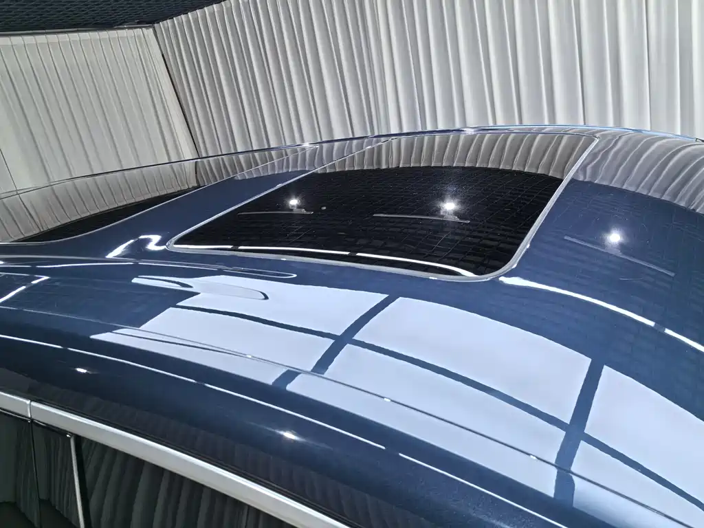 Denza Denza D9 — миниатюра 19