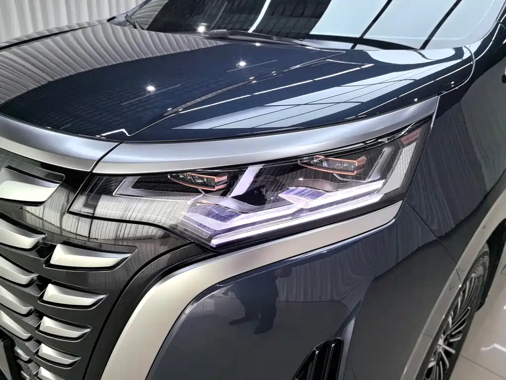 Denza Denza D9 — миниатюра 14