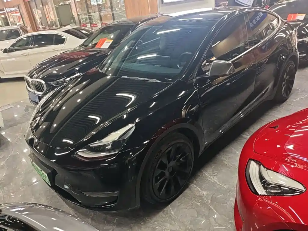 Tesla Model Y — миниатюра 2