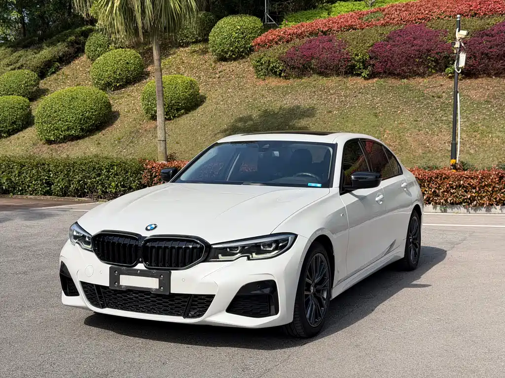 BMW 3 Series 2019