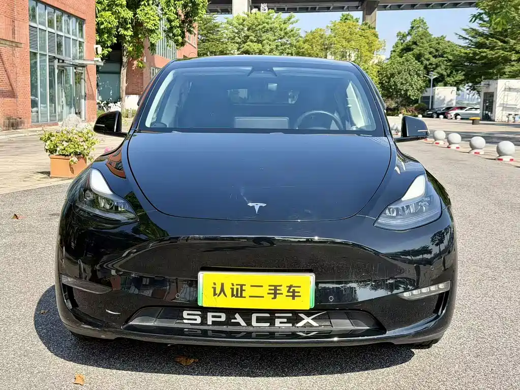 Tesla Model Y — миниатюра 7
