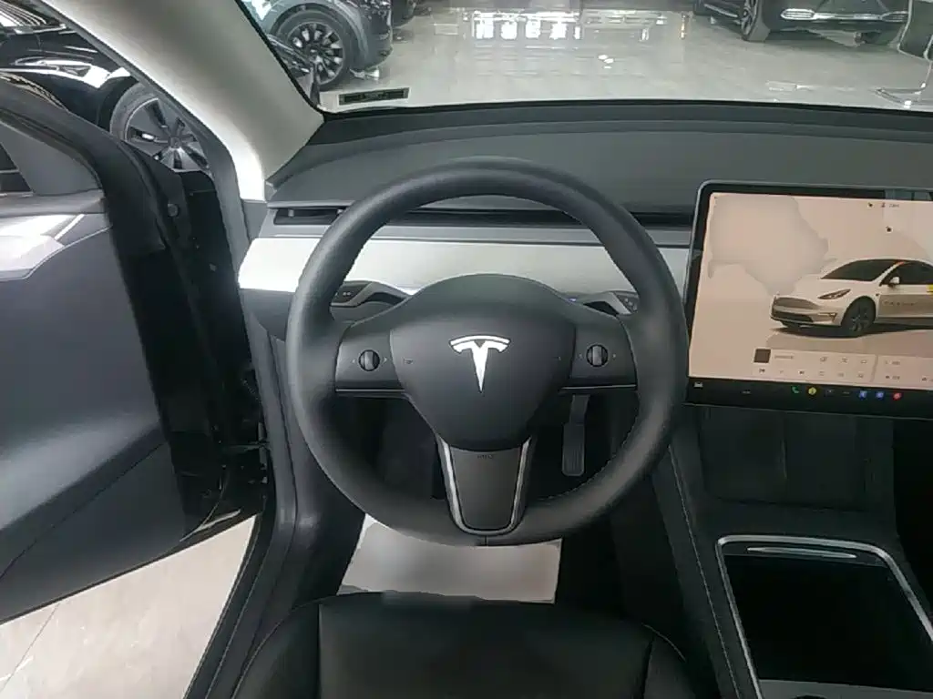 Tesla Model Y — миниатюра 11