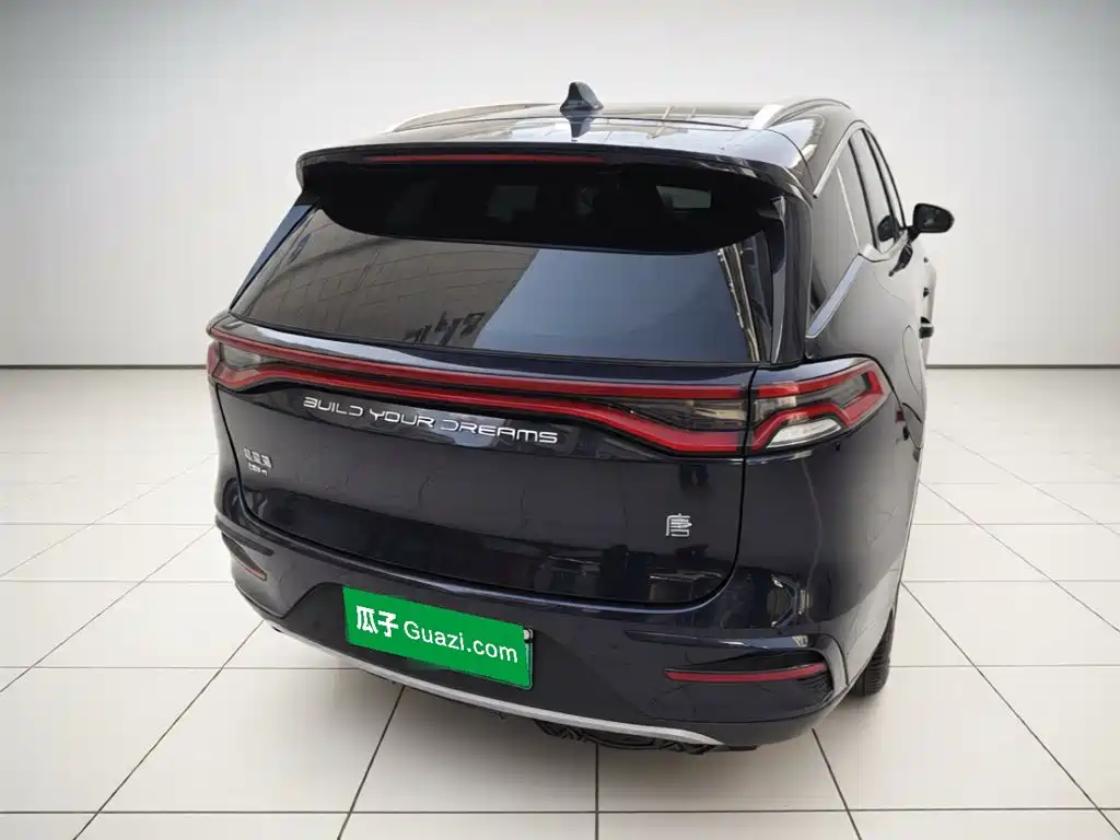 BYD Tang New Energy — миниатюра 4
