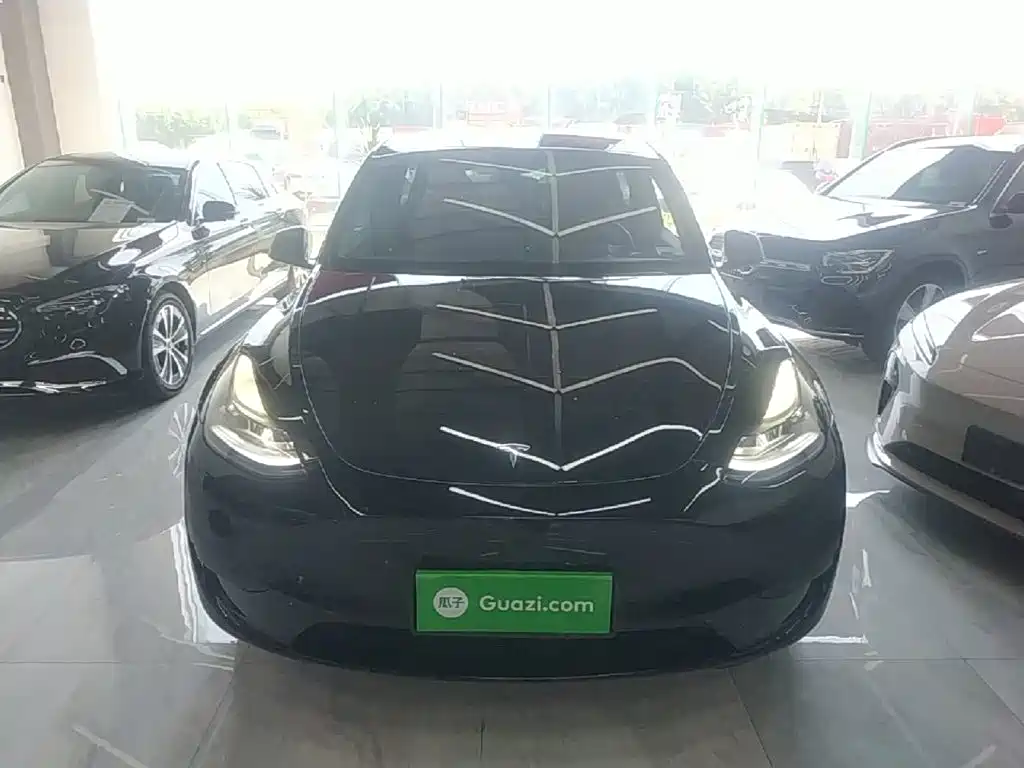 Tesla Model Y — миниатюра 3