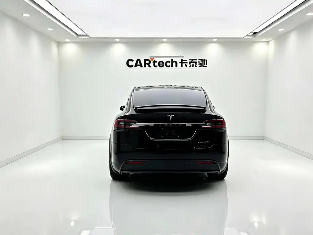 Tesla Model X — миниатюра 4