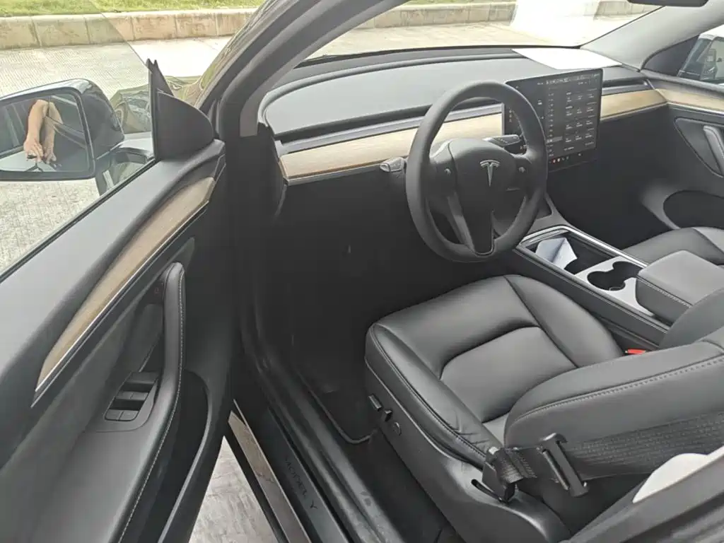 Tesla Model Y — миниатюра 15