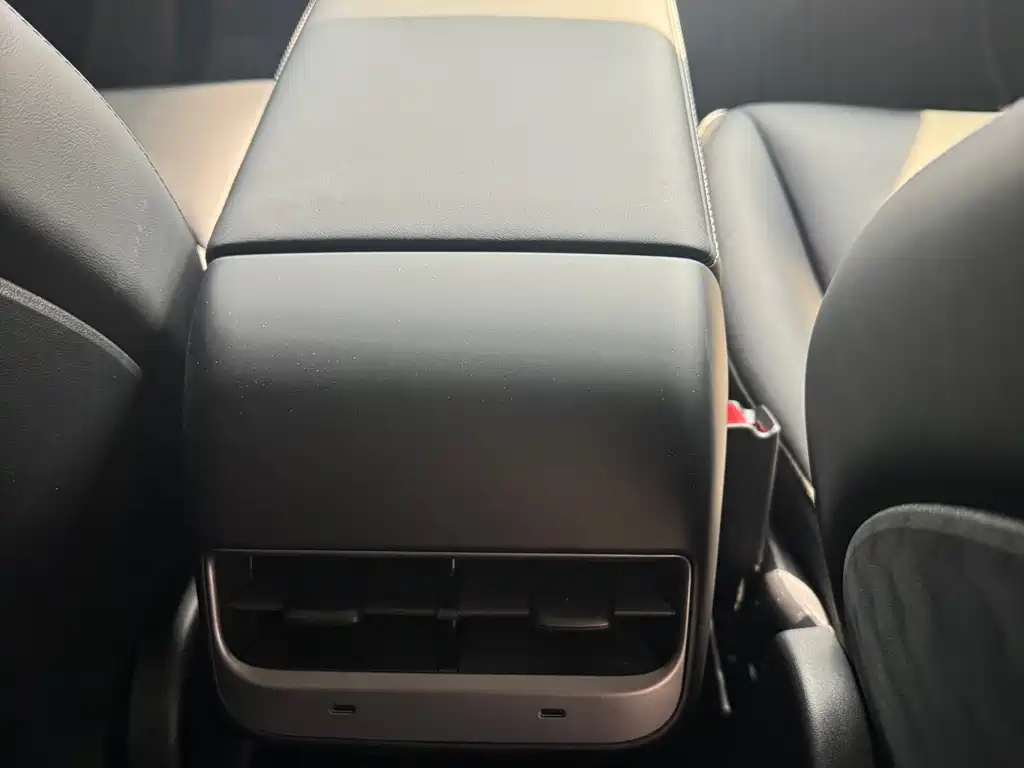 Tesla Model Y — миниатюра 4