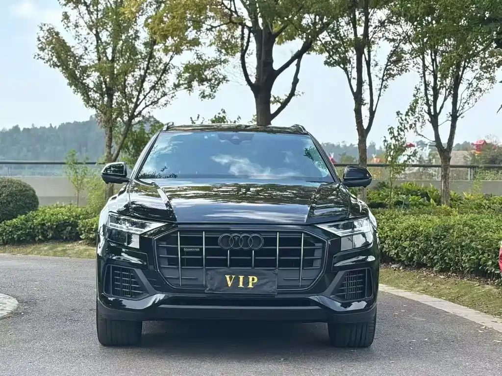 Audi Q8 — миниатюра 2
